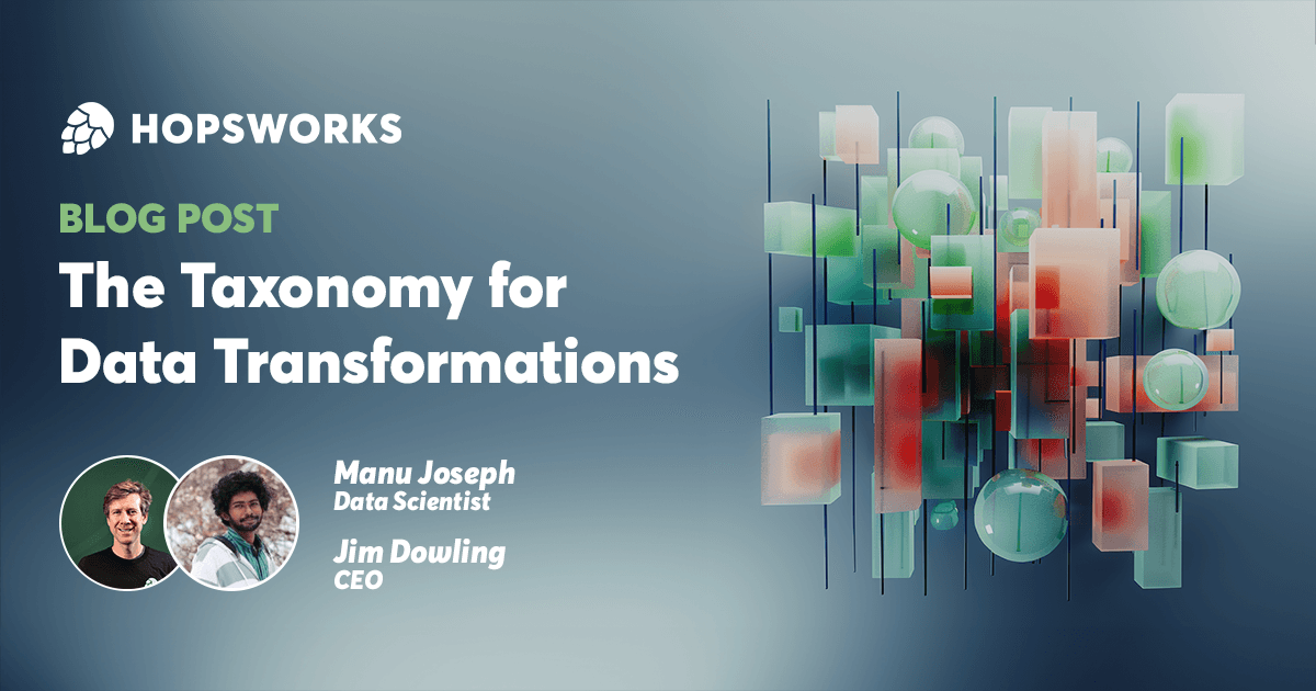 The Taxonomy for Data Transformations in AI Systems