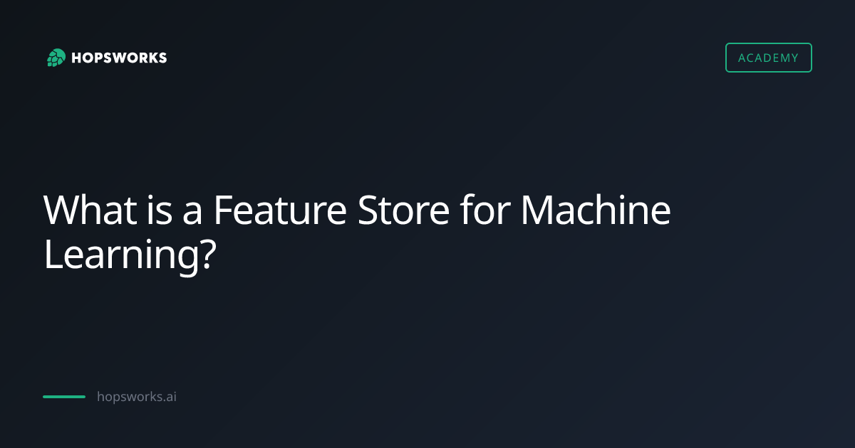 What is a Feature Store for Machine Learning? - Academy | Hopsworks