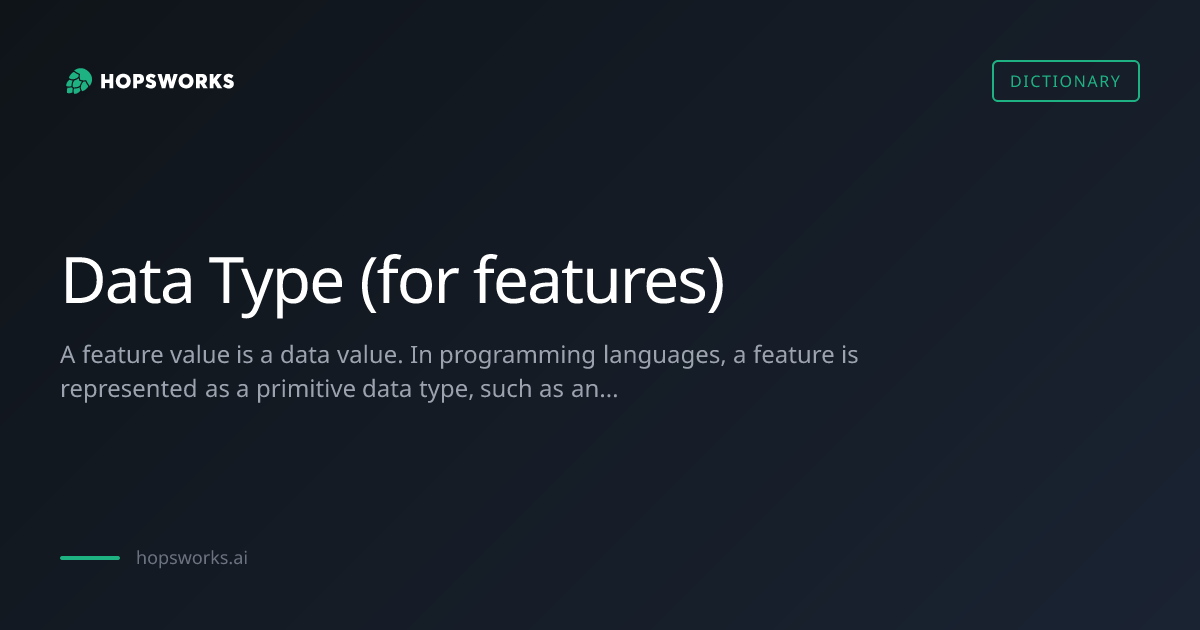Data Type (for features) - MLOps Dictionary | Hopsworks