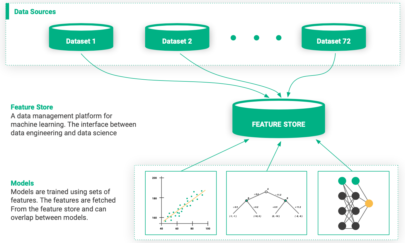 centralized feature store and data