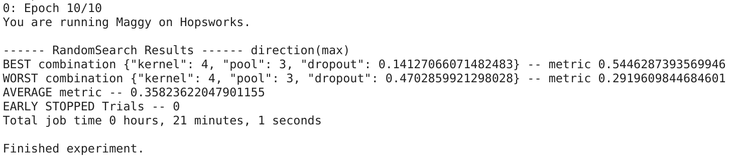 Maggy hyperparameter optimization results summary